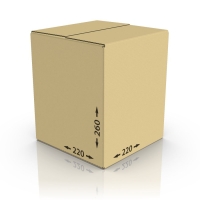 Картонная коробка 220*220*260 мм, Т-22 бур.
