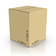 Картонная коробка 220*220*260 мм, Т-22 бур.