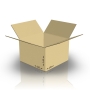 Картонная коробка 230*225*145 мм Т-22 В бурый