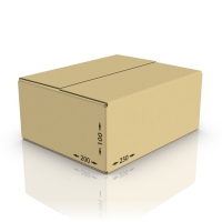 Картонная коробка 250*200*100 мм Т-22 бур.