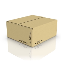 Картонная коробка 250*220*100 мм Т-21 бур.