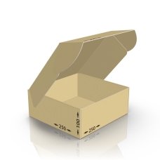 Гофроупаковка FEFCO 0427 250*250*100 мм Т-23 бурый «E»